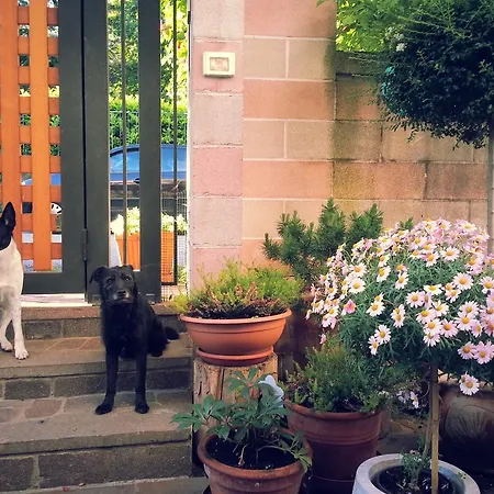 Bed & Breakfast Da Rosy *